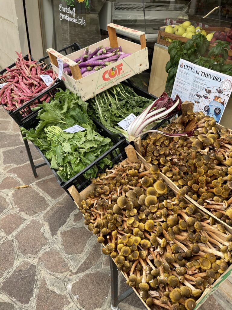 Treviso culinária e gastronomia Treviso - itens de culinária